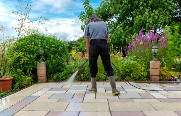 Best Animal Enclosure Cleaning  in Woodlake, VA