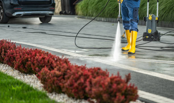 Best Sidewalk and Walkway Cleaning  in Woodlake, VA